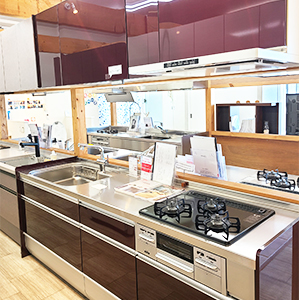 クリナップクリンレディ